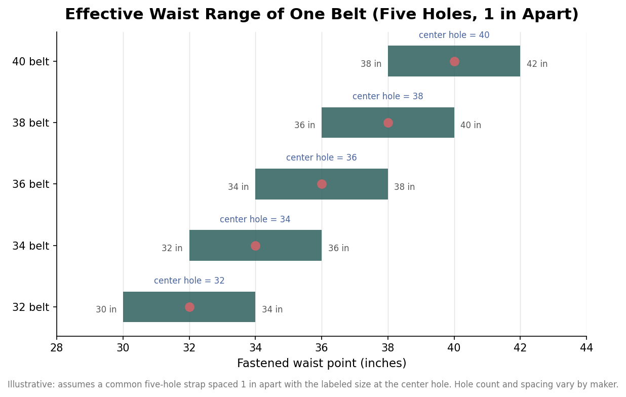 Horizontal range chart showing the roughly four-inch waist range each labeled belt size covers across five holes